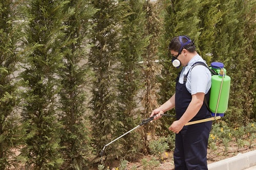 Our pest control company exterminates indoor and outdoor and looks fo rinfestations and leaks and source of issue in toronto