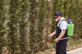 Why our pest control brampton company is the leader